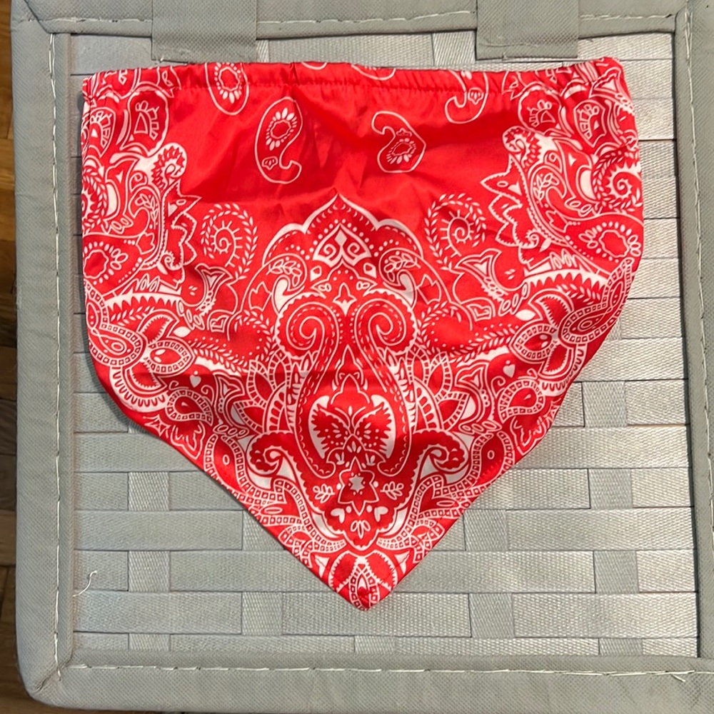 Red bandana crop top